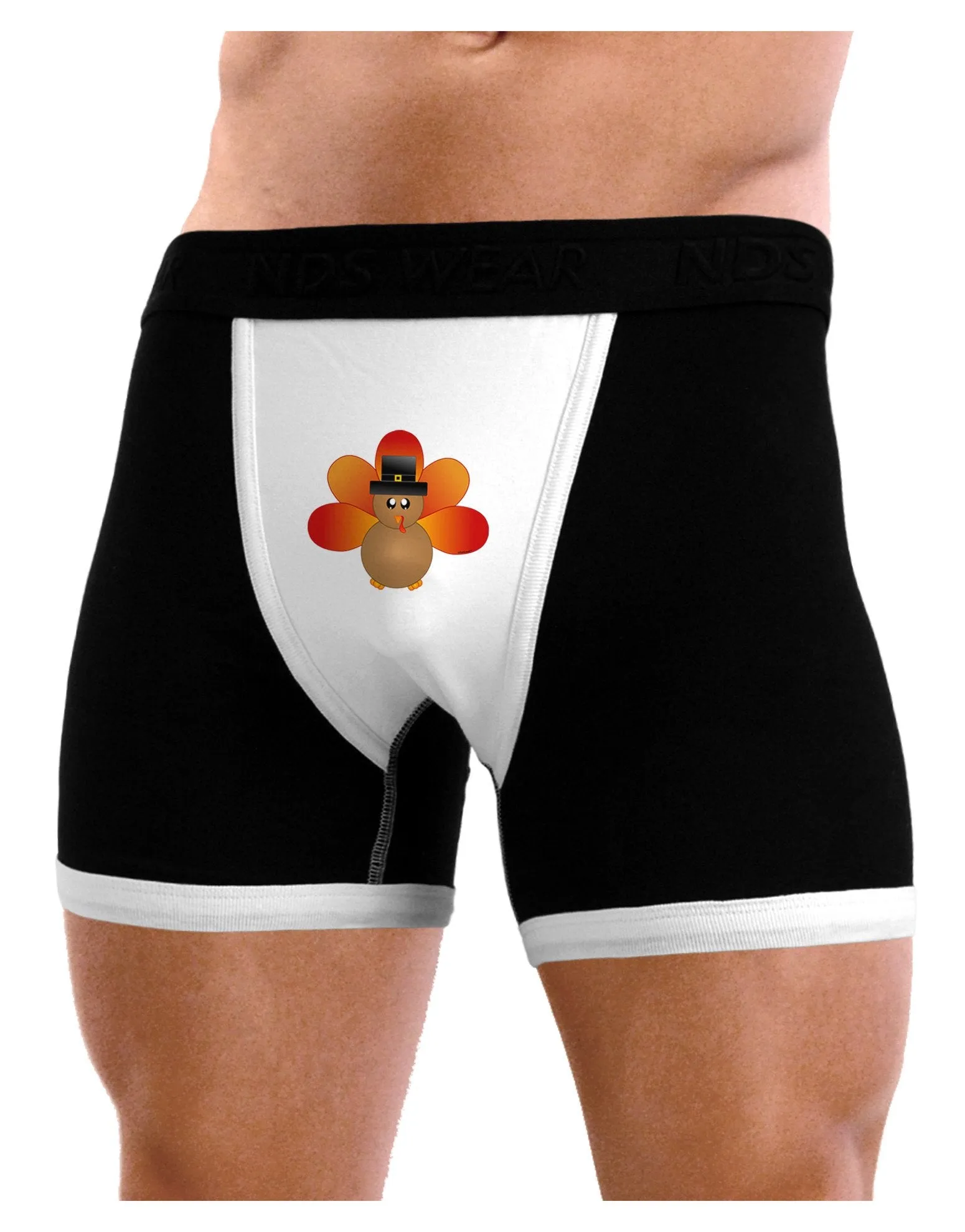 Cute Pilgrim Turkey Thanksgiving Mens Boxer Brief Underwear