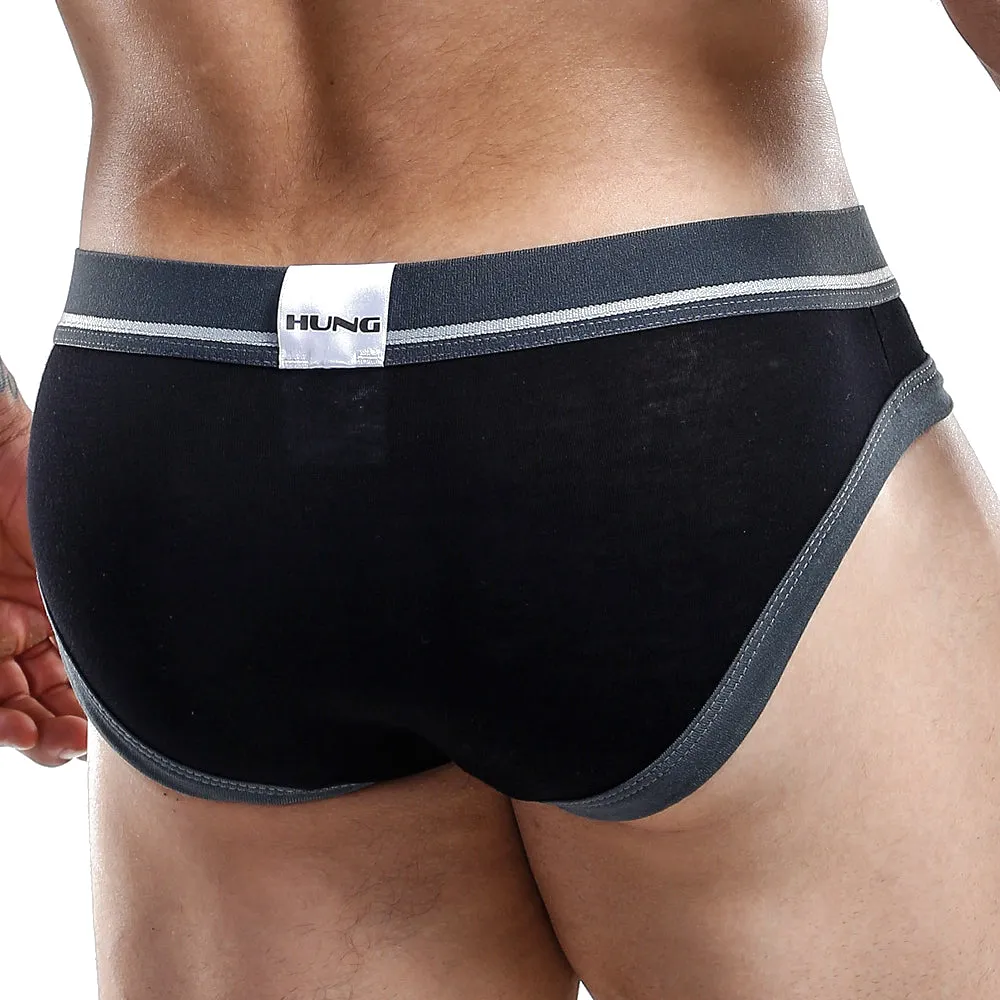 Hung HGJ003 Brief